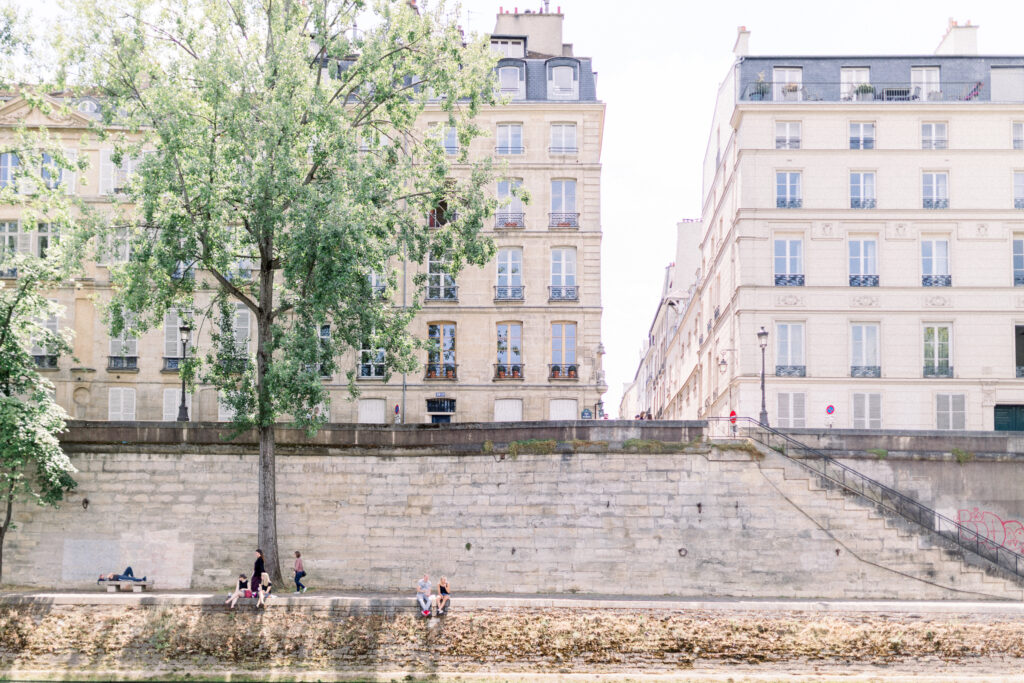 Parisian View - Seine